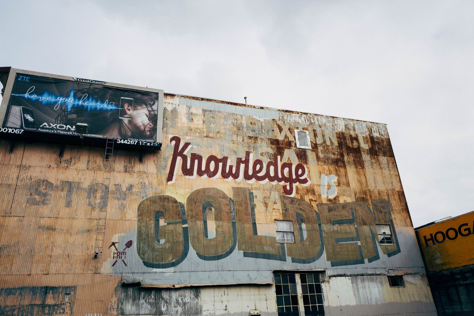 Urban Wisdom Unveiled