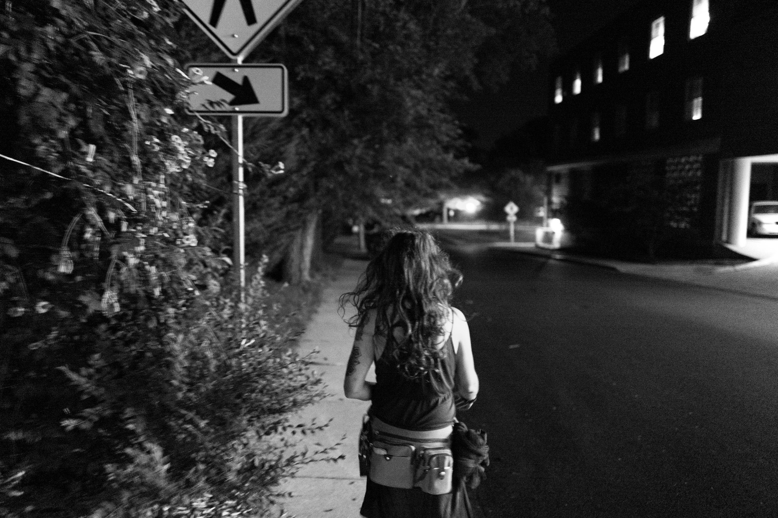 Lone Wanderer at Night