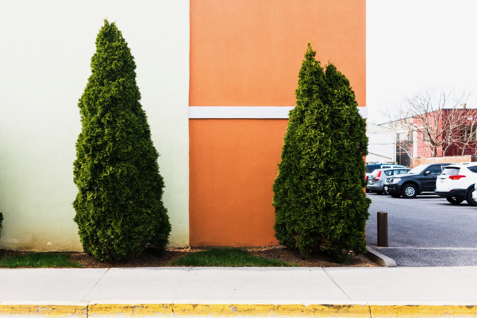 Urban Symmetry in Green
