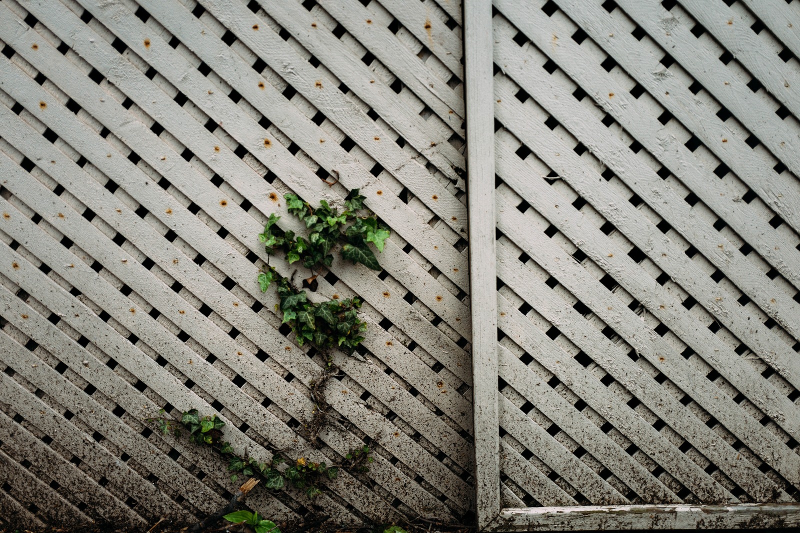 Resilience Against the Fade