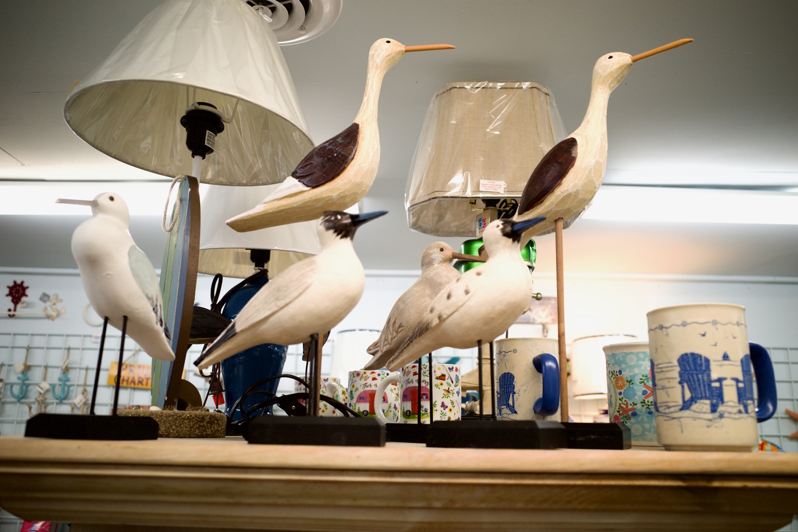 Whimsical Bird Display