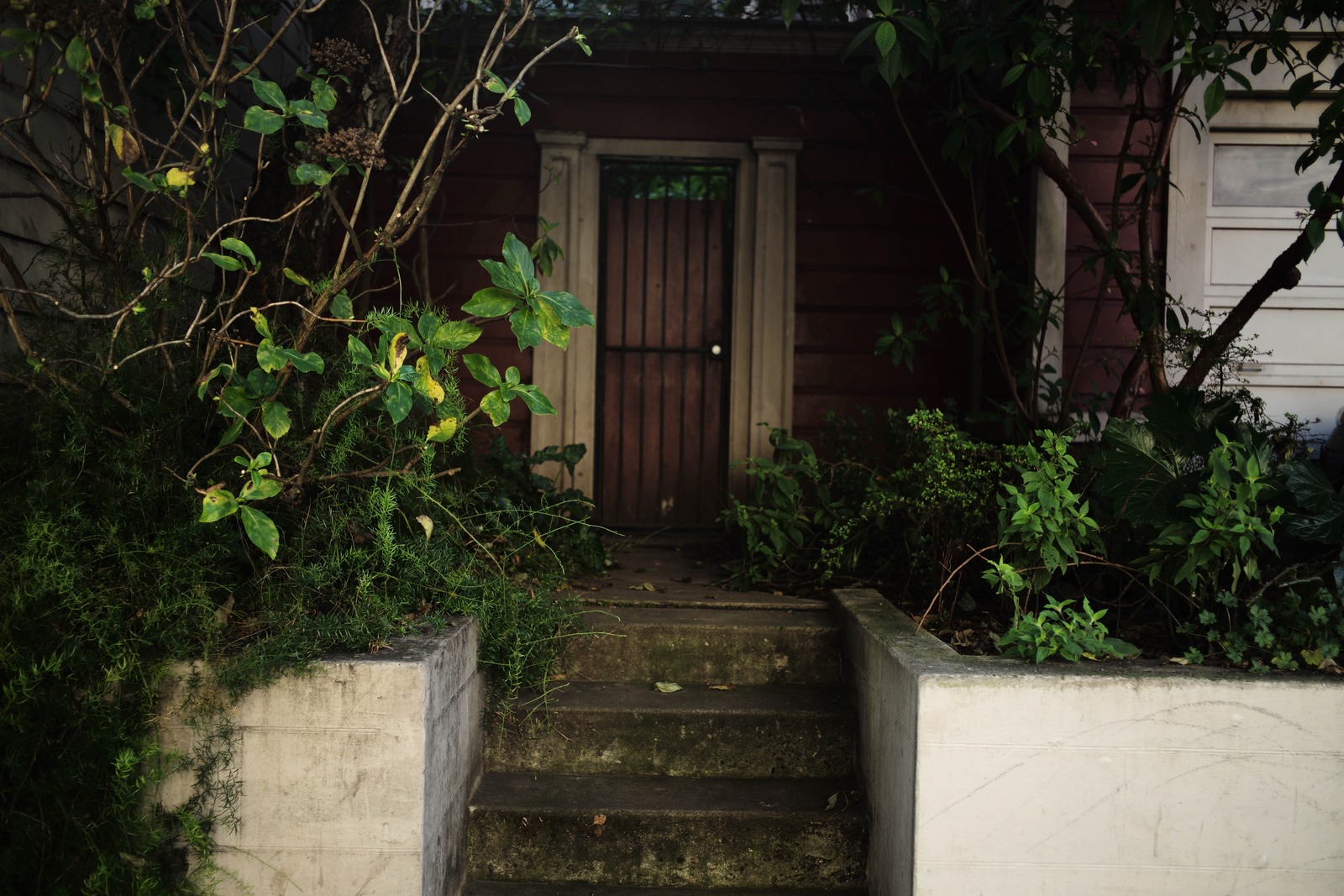 Whispers of the Abandoned