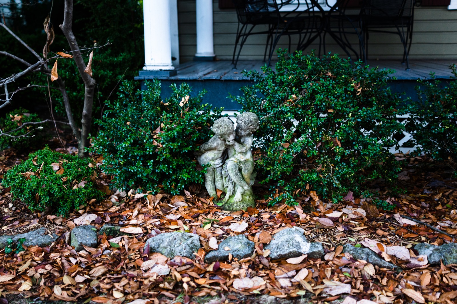 Whispers Among Leaves