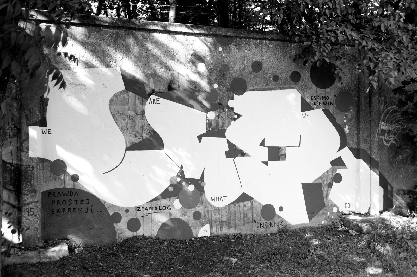 Urban Expression Unveiled