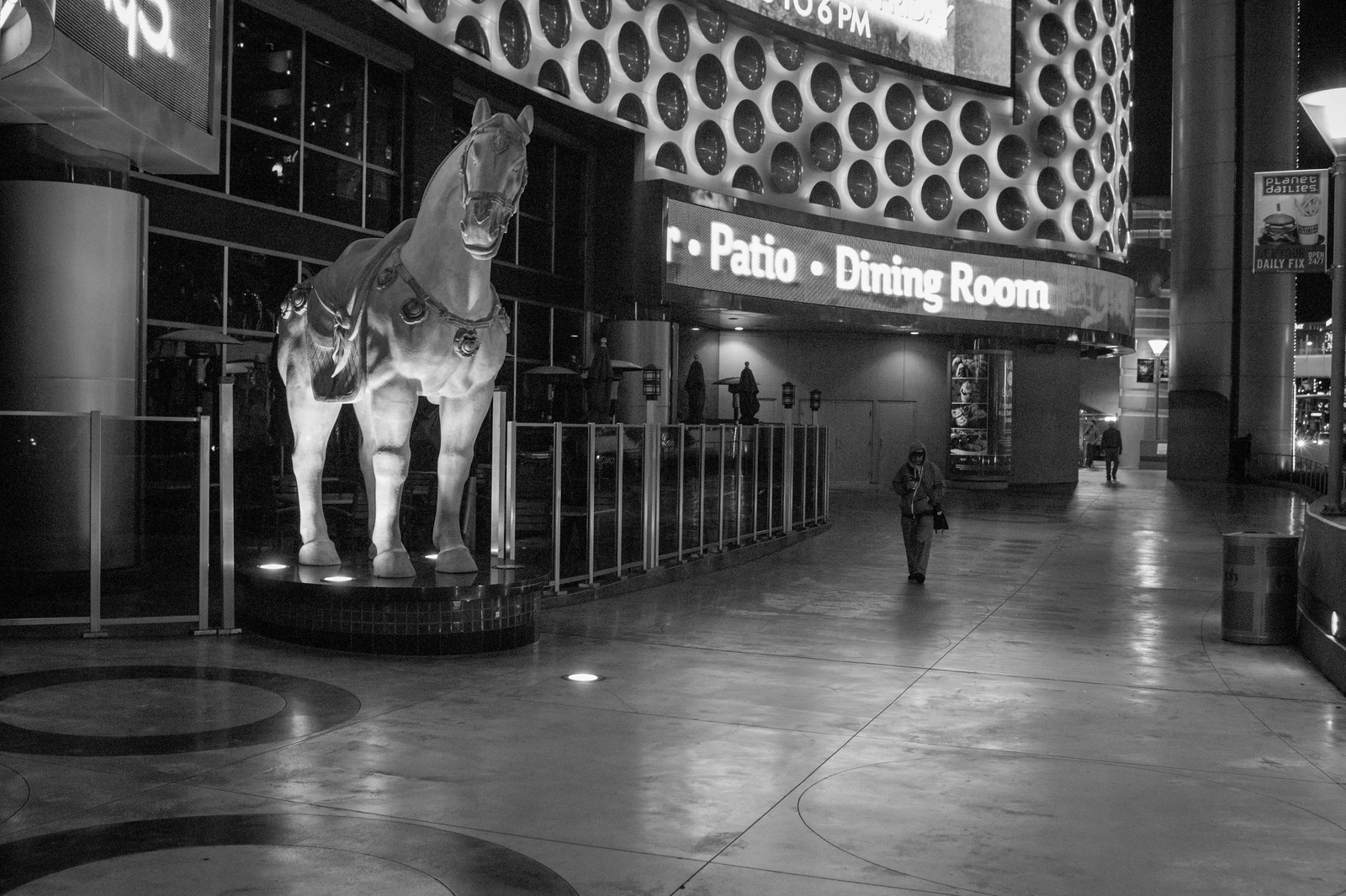 Urban Equestrian Majesty