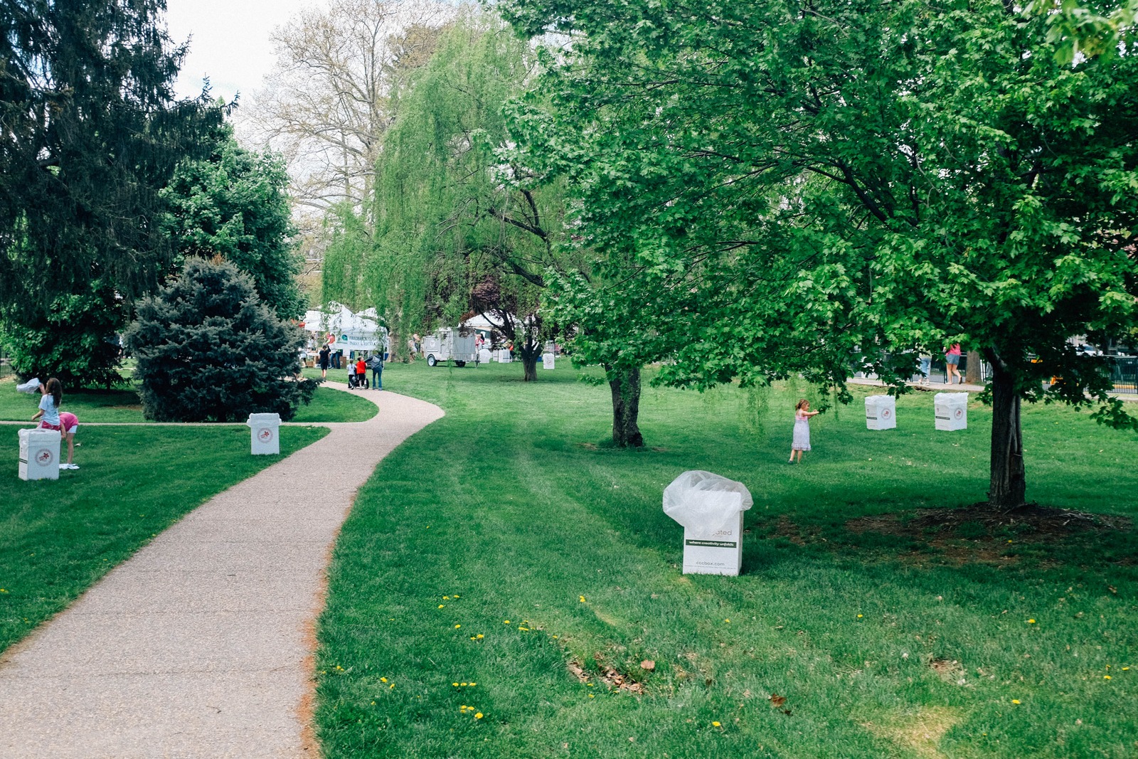 Whispers of Nature's Green