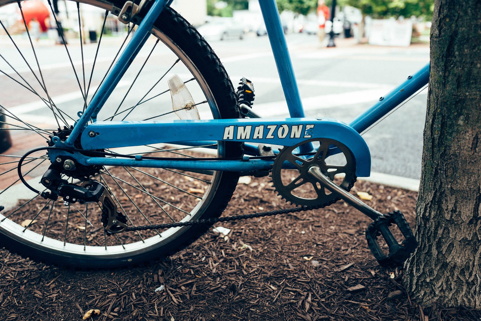 Urban Echoes of Freedom