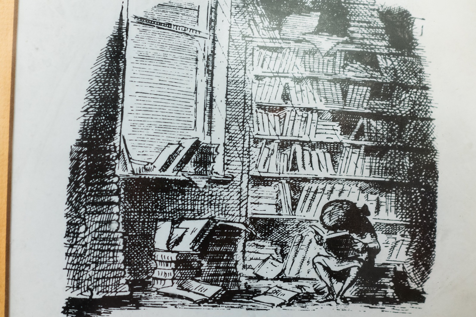 Whispers of Knowledge