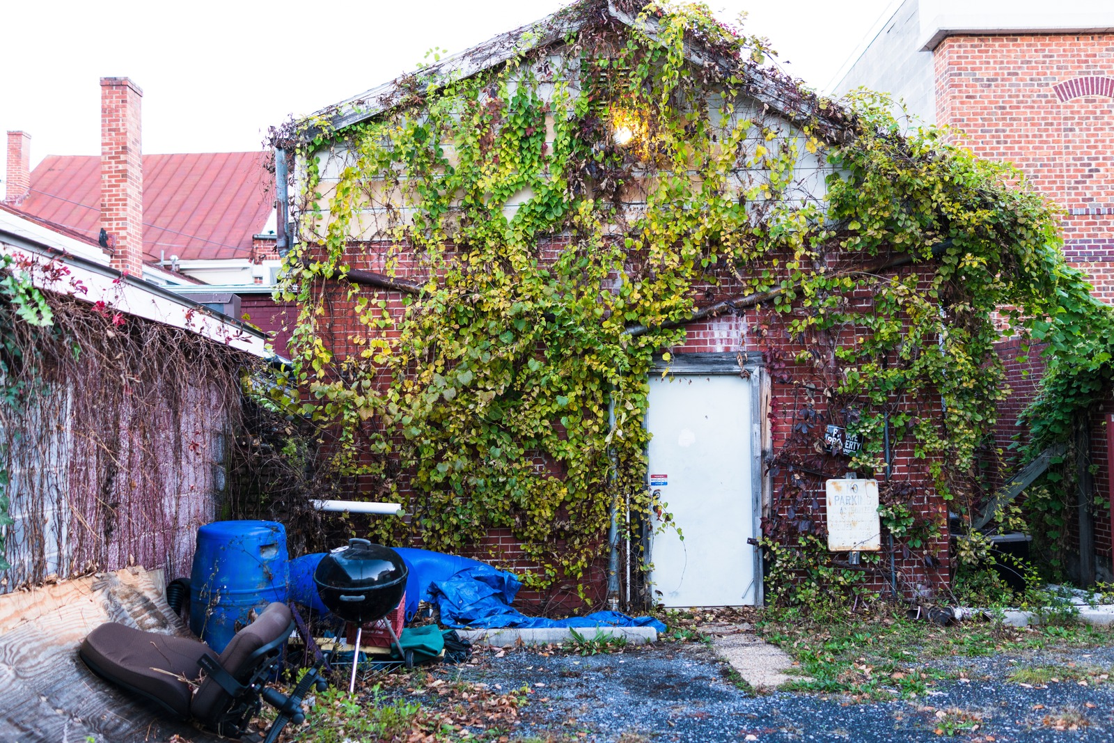 Nature's Embrace on Brick