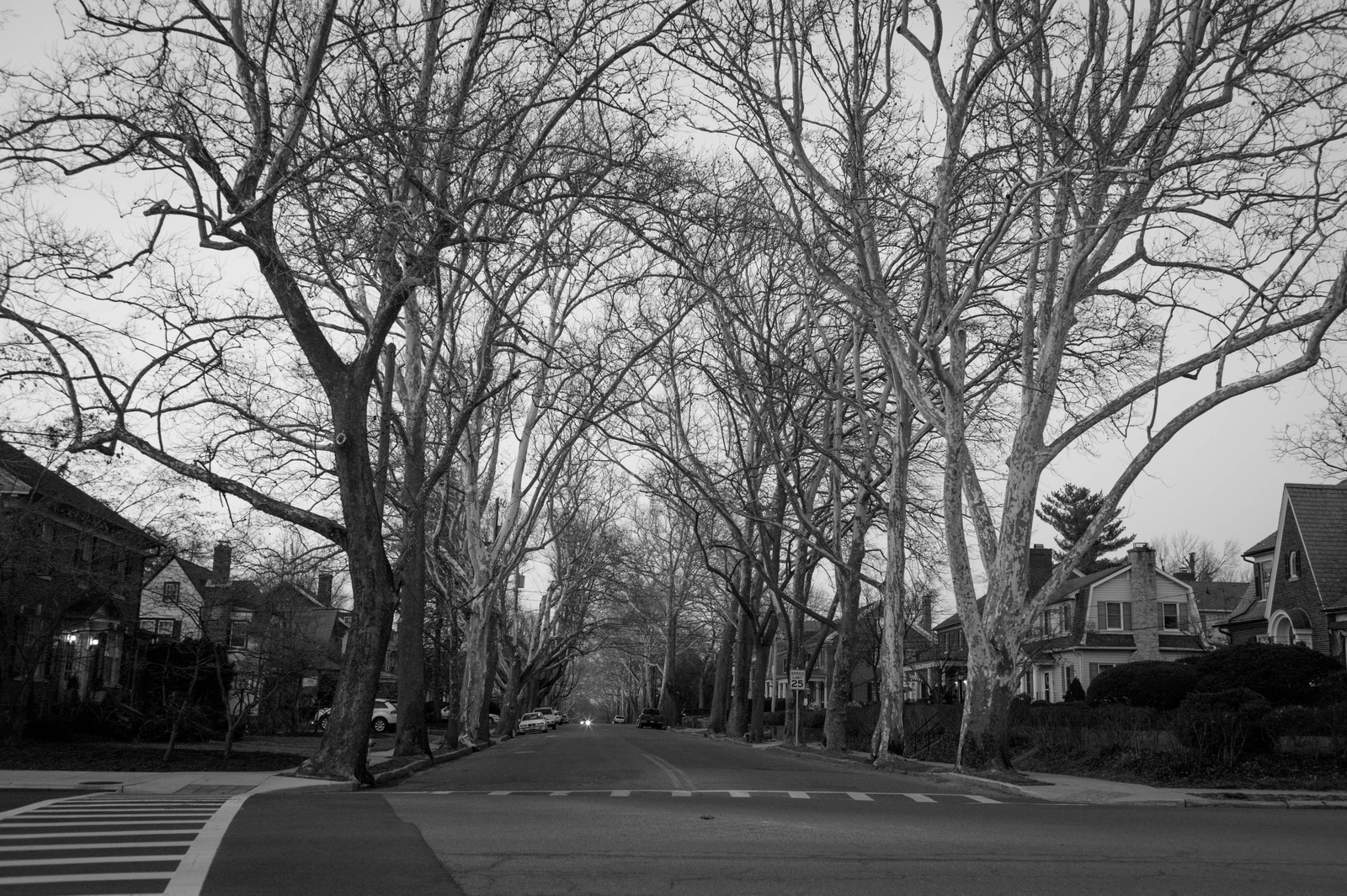 Quiet Streets in Winter