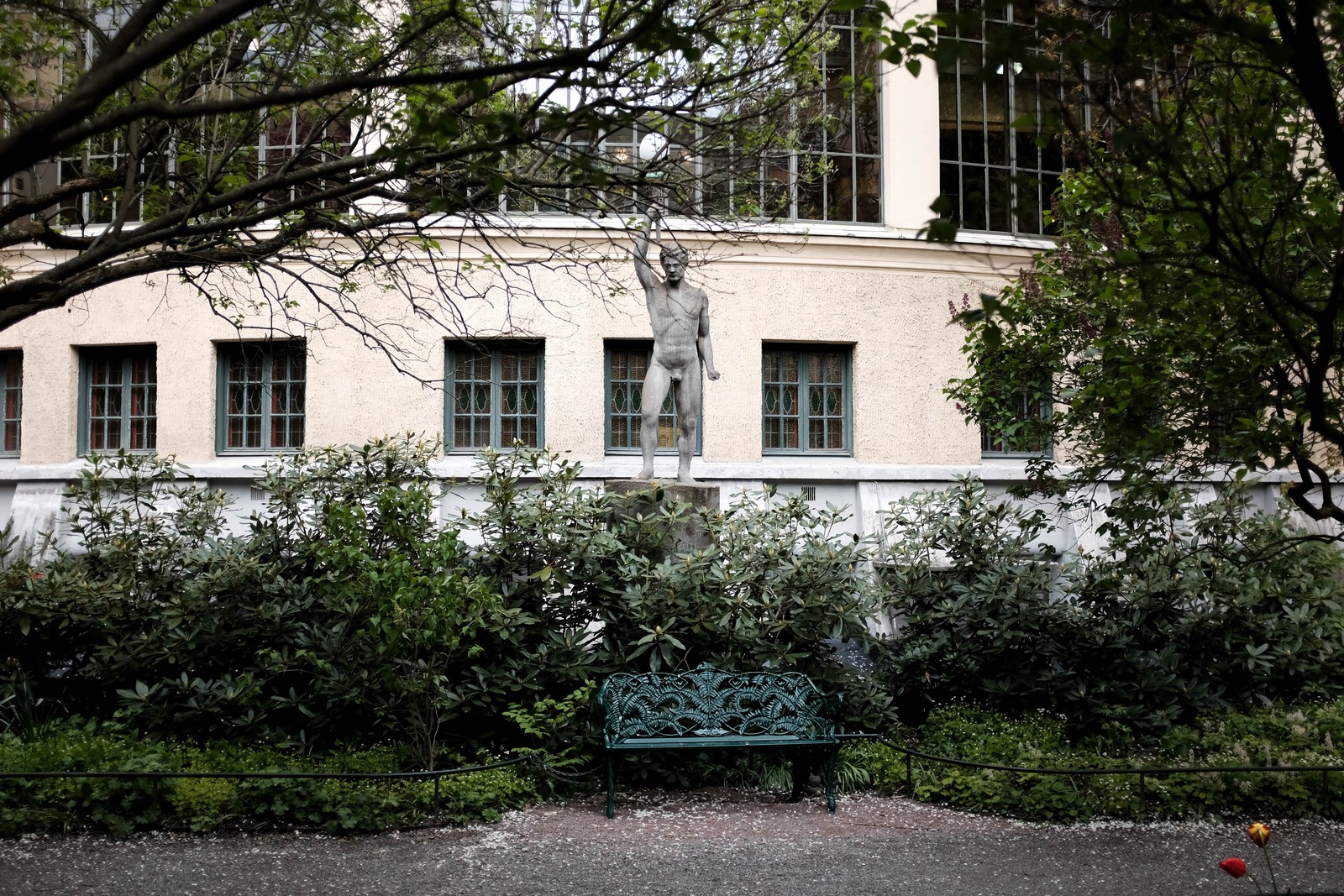 Silent Watcher in the Garden
