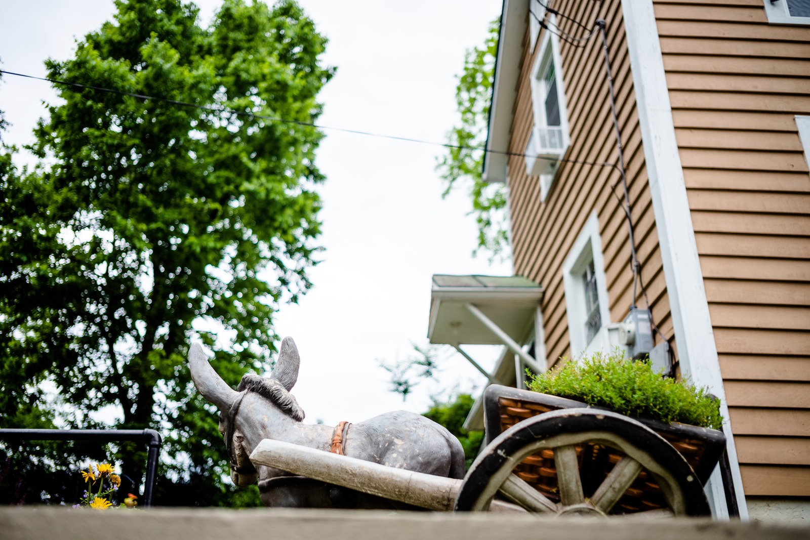 Whimsical Garden Scene