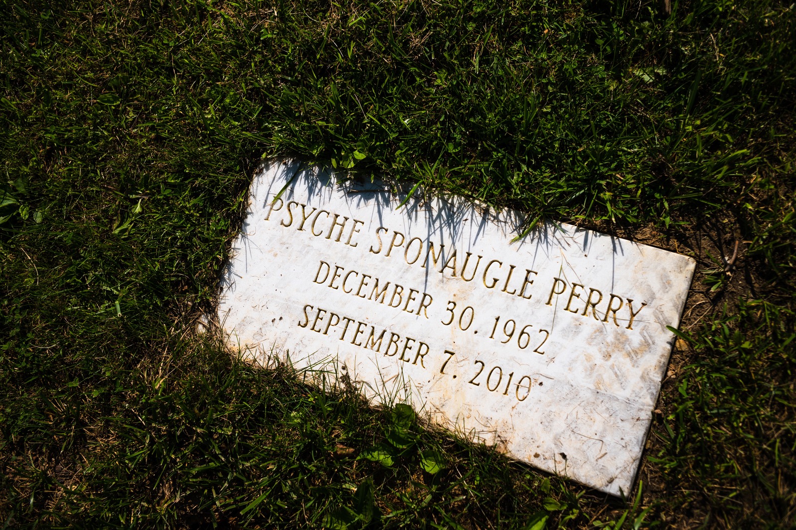 Whispers of Remembrance