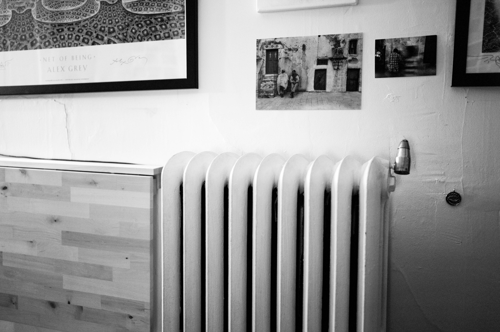 Warmth in Monochrome