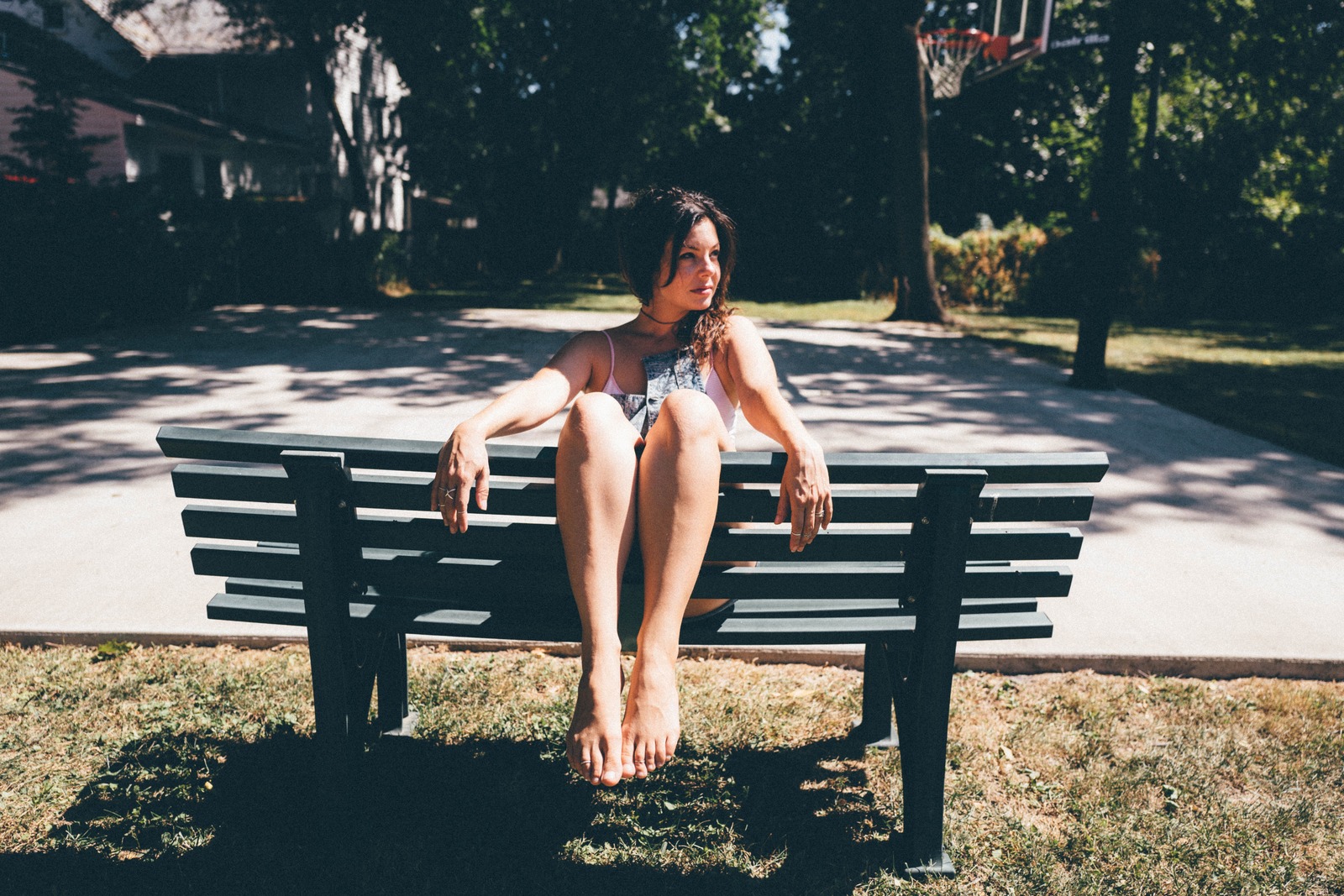 Summer Solitude on a Bench