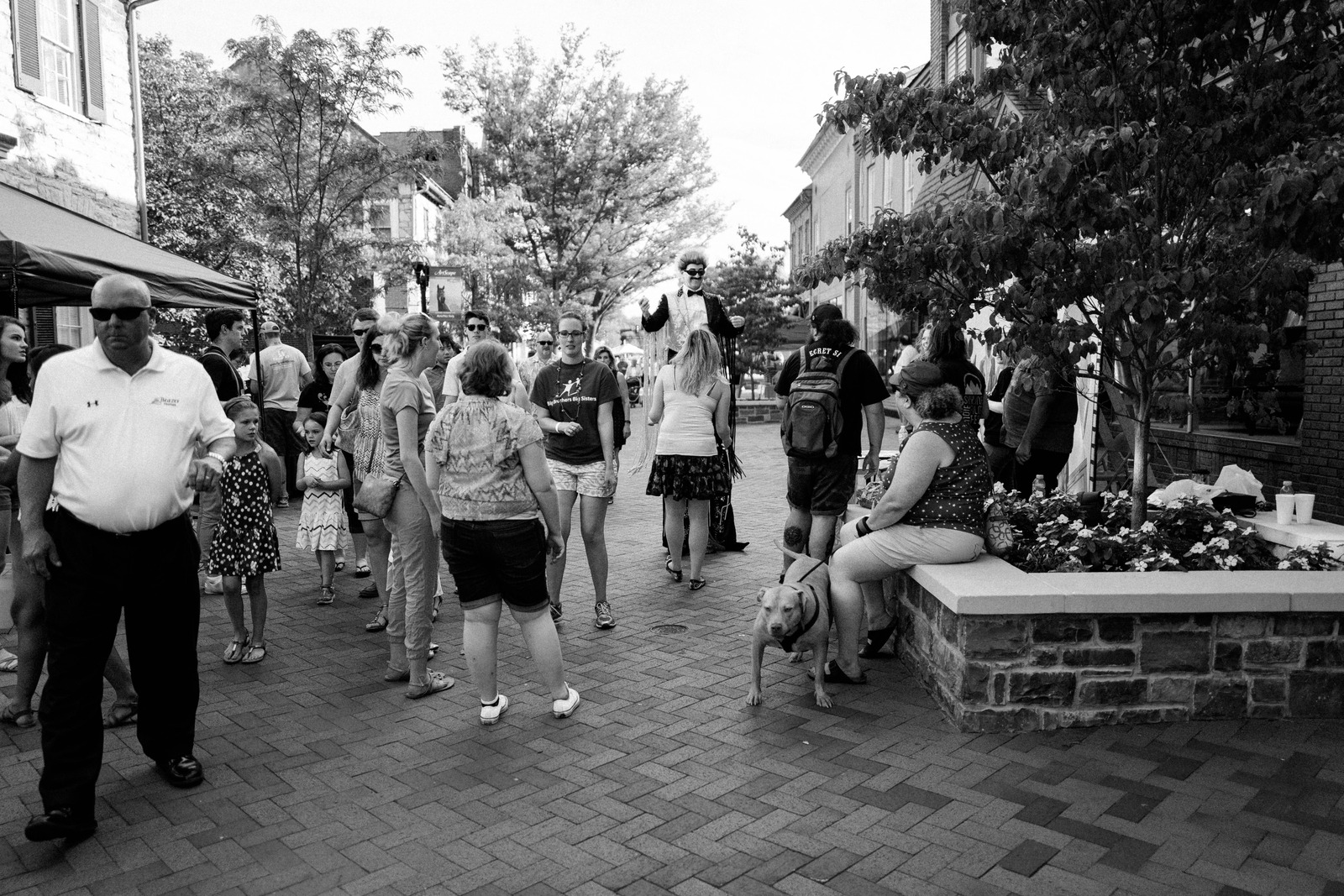 An Afternoon Gathering