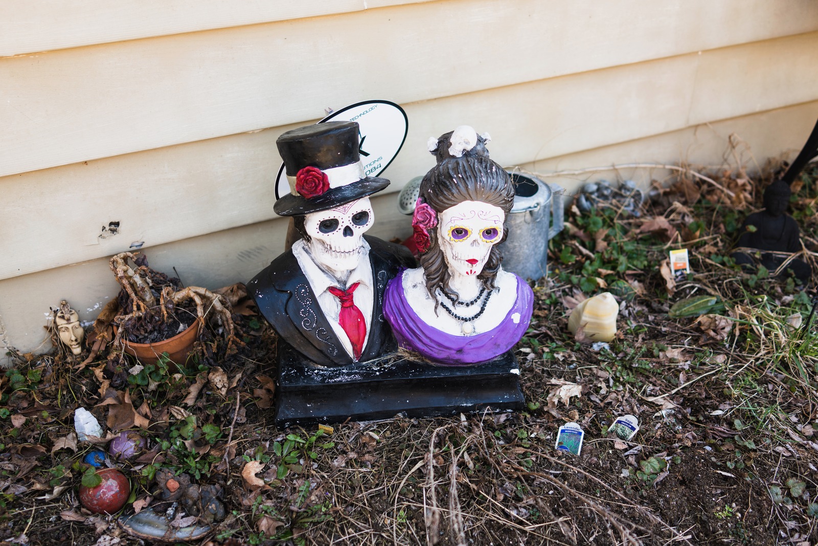 Whimsical Skeletons in the Garden
