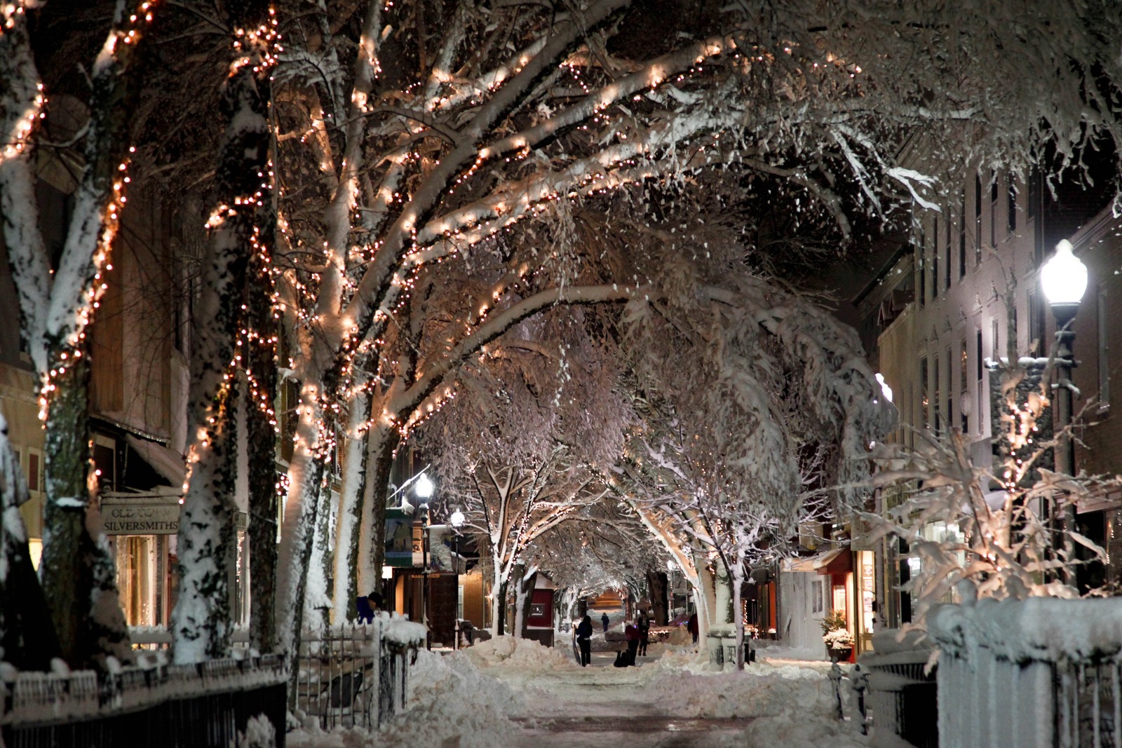 Winter Wonderland at Night