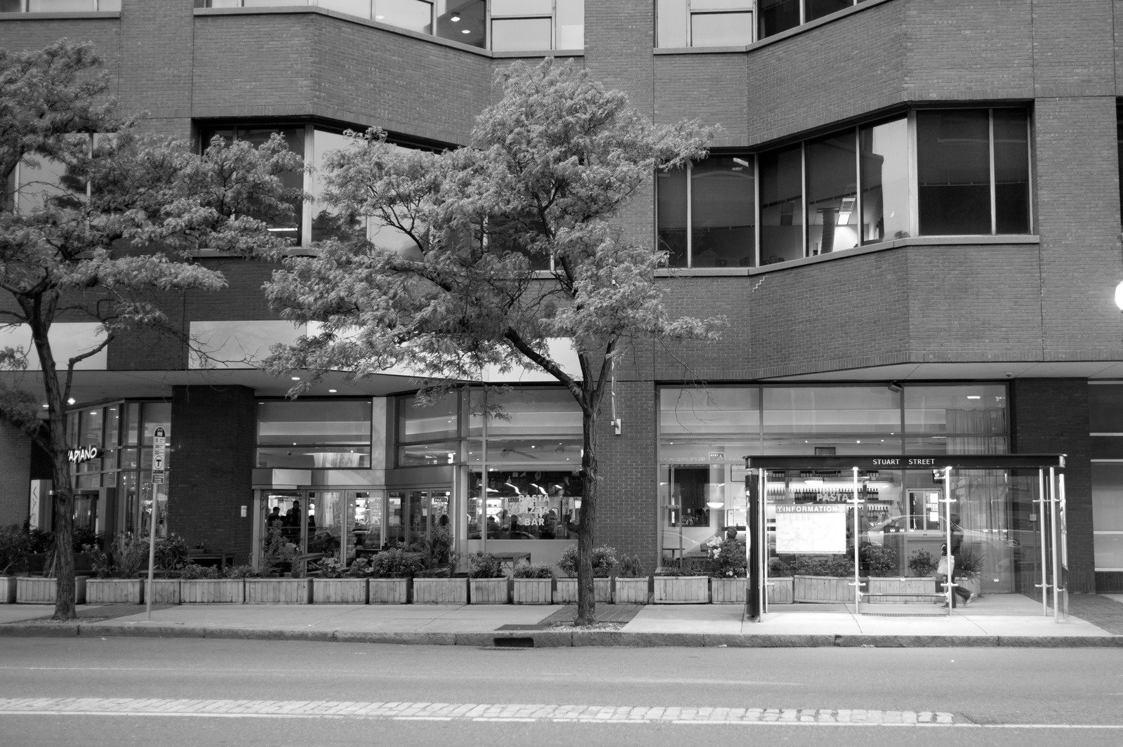 Urban Serenity in Monochrome