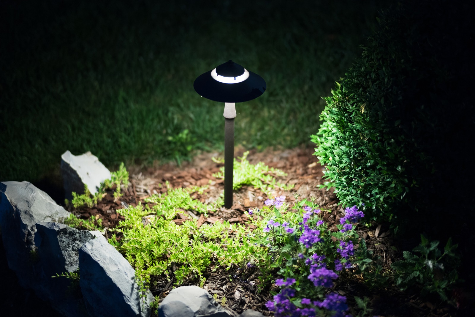 Illuminated Serenity