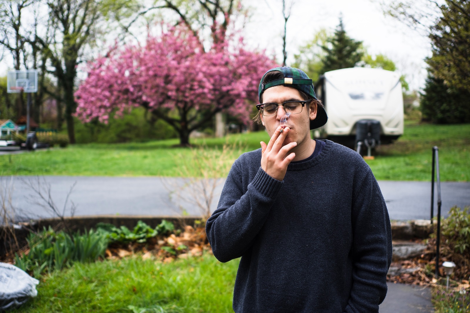 Contemplation Among Blossoms