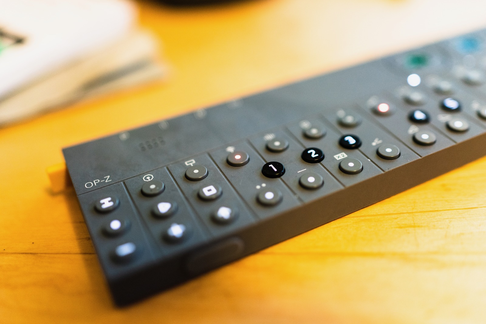 The Rhythm of Creation