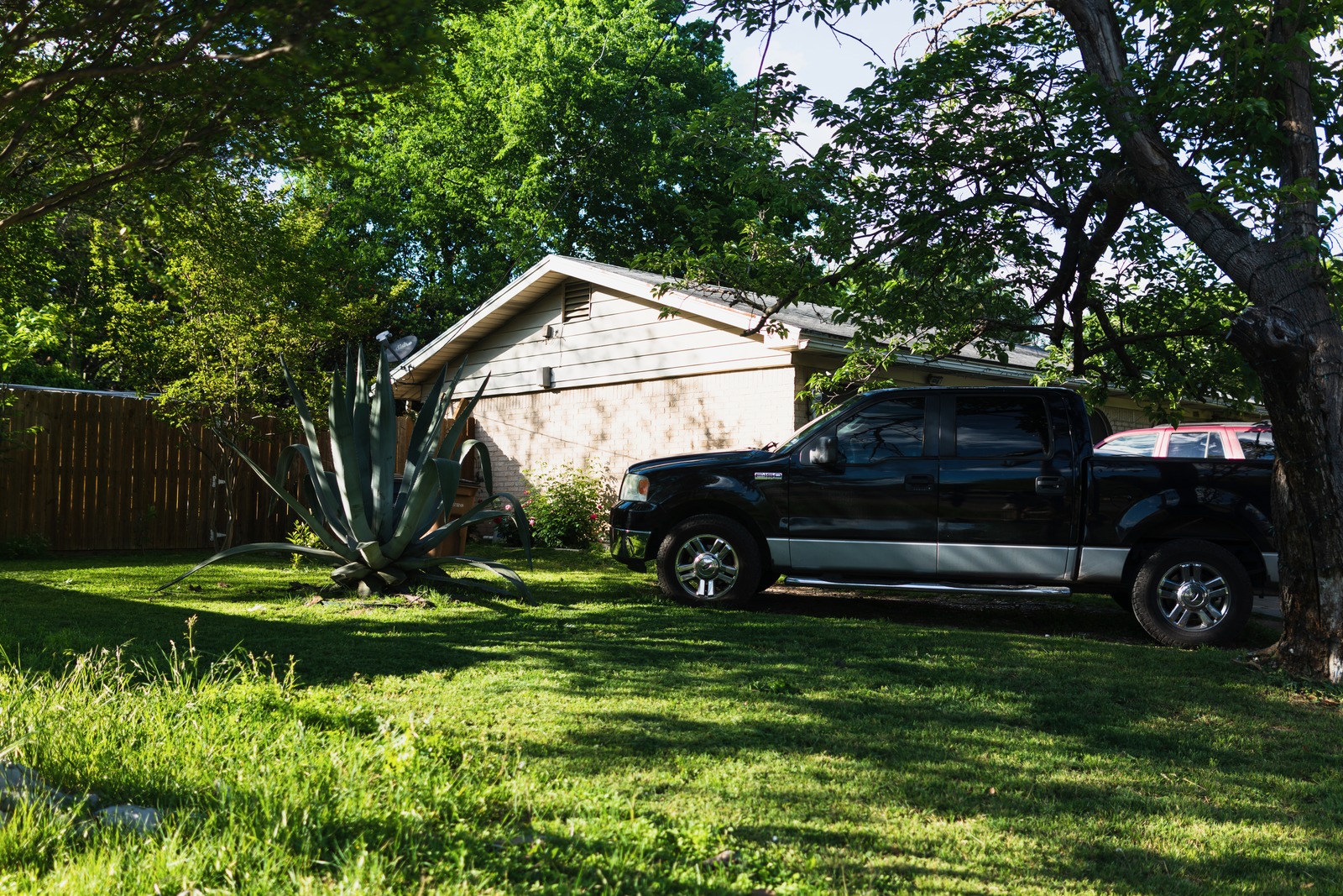 Quiet Backyard Serenity