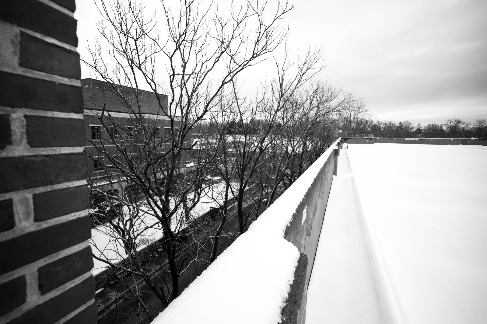 Winter's Desolate Edge