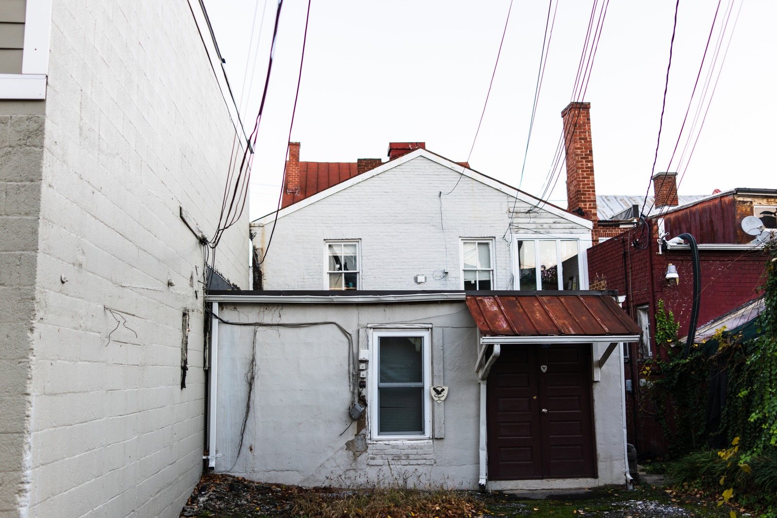 Urban Alleyway Serenity