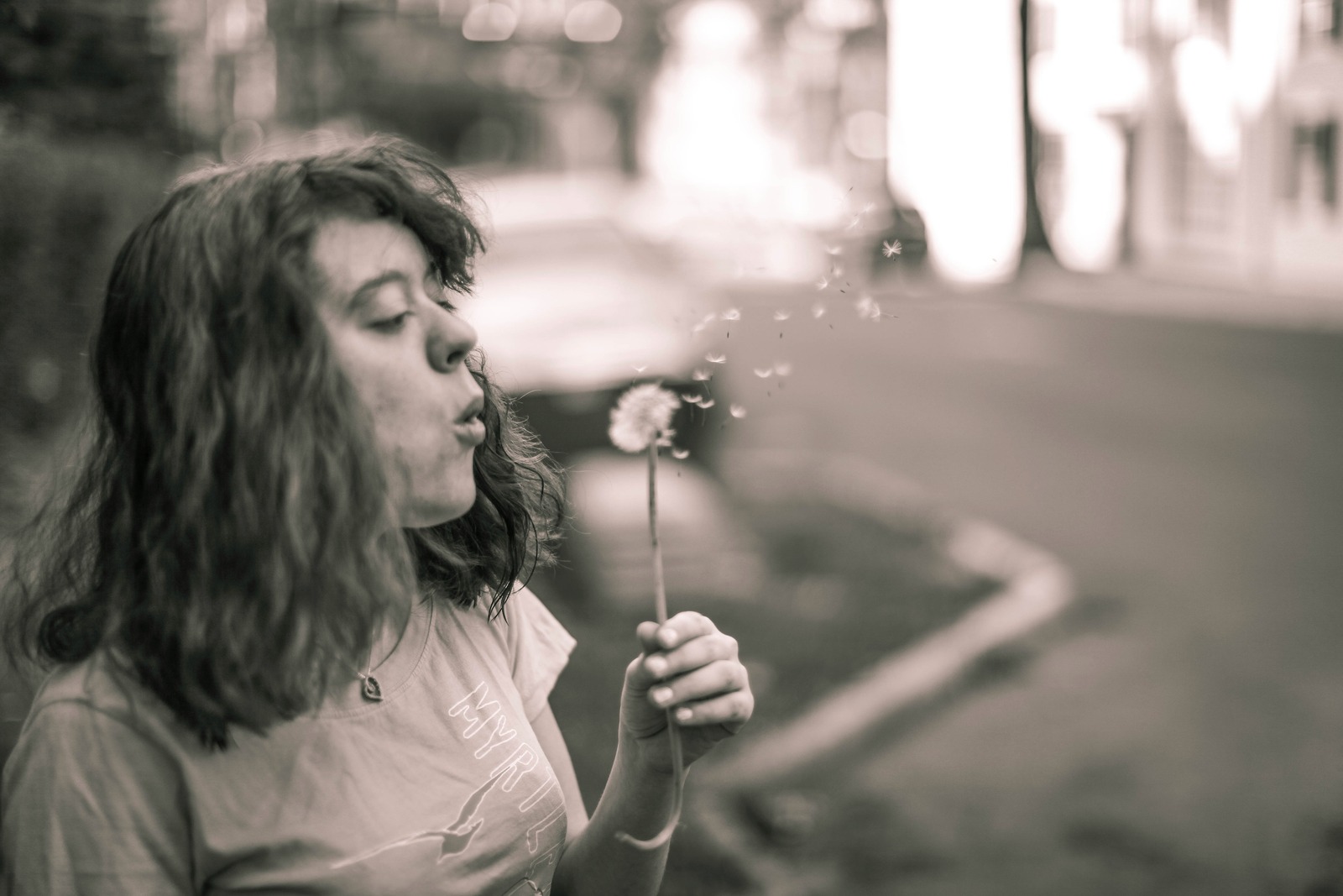 Whispers of a Dandelion