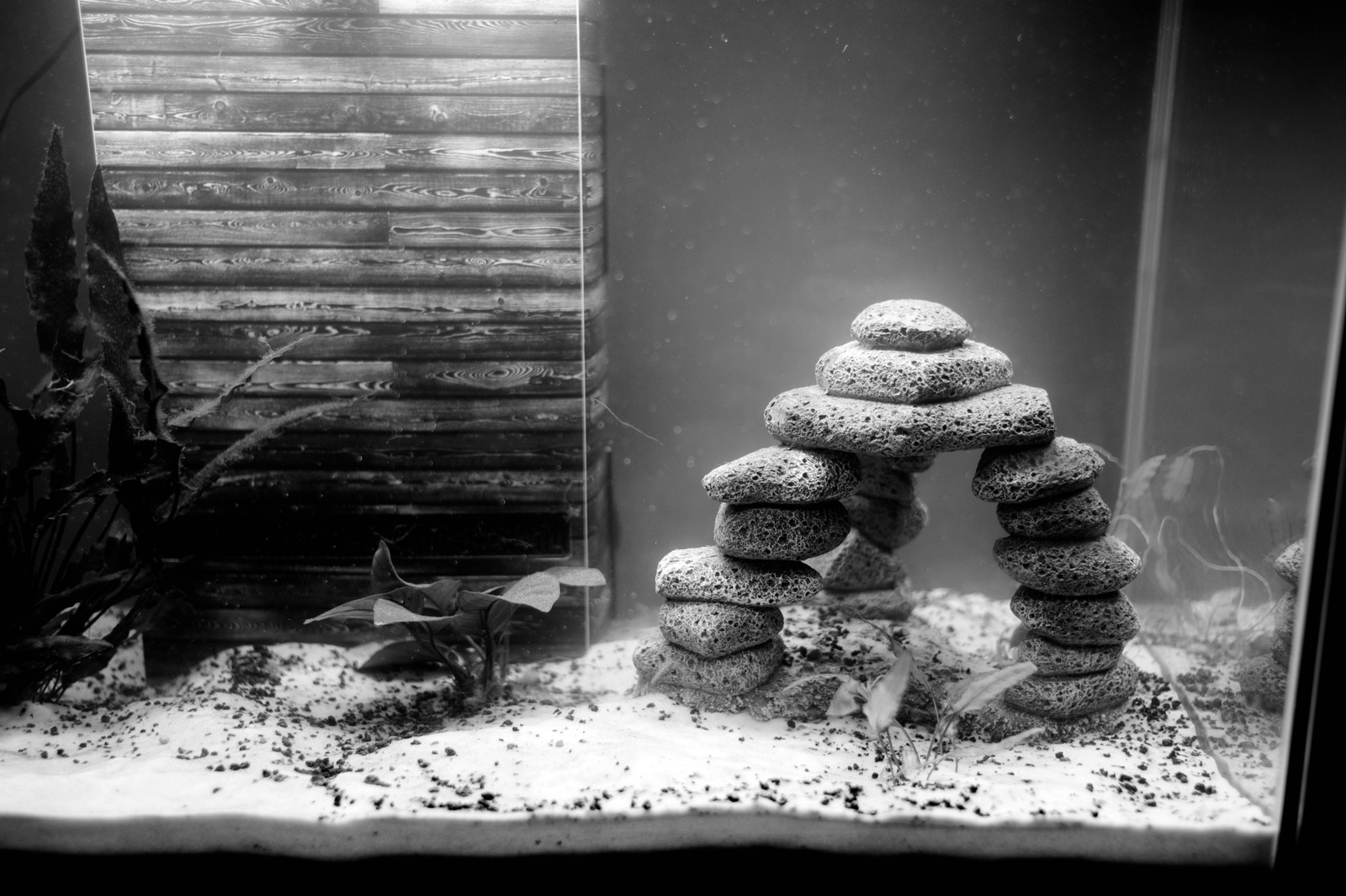 Serene Rock Formation