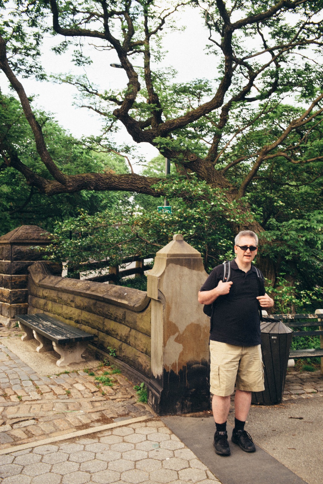 Man in a Green Oasis