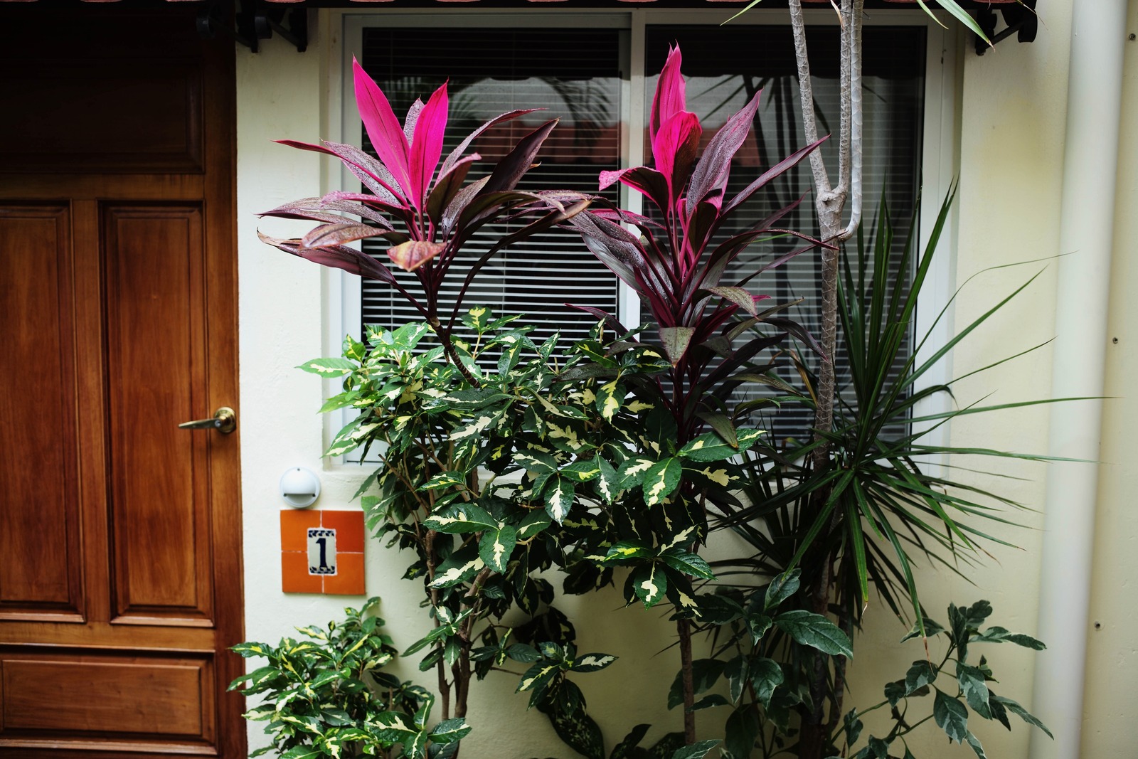 Vibrant Urban Greenery