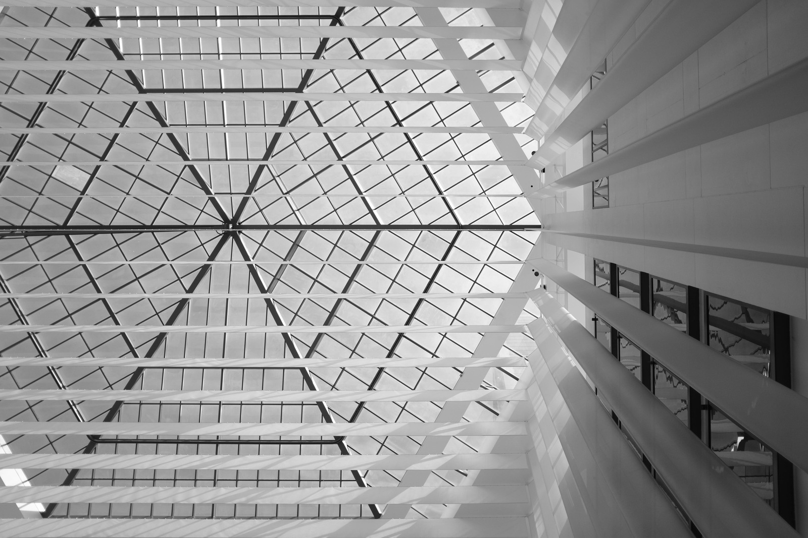 Architectural Elegance Above