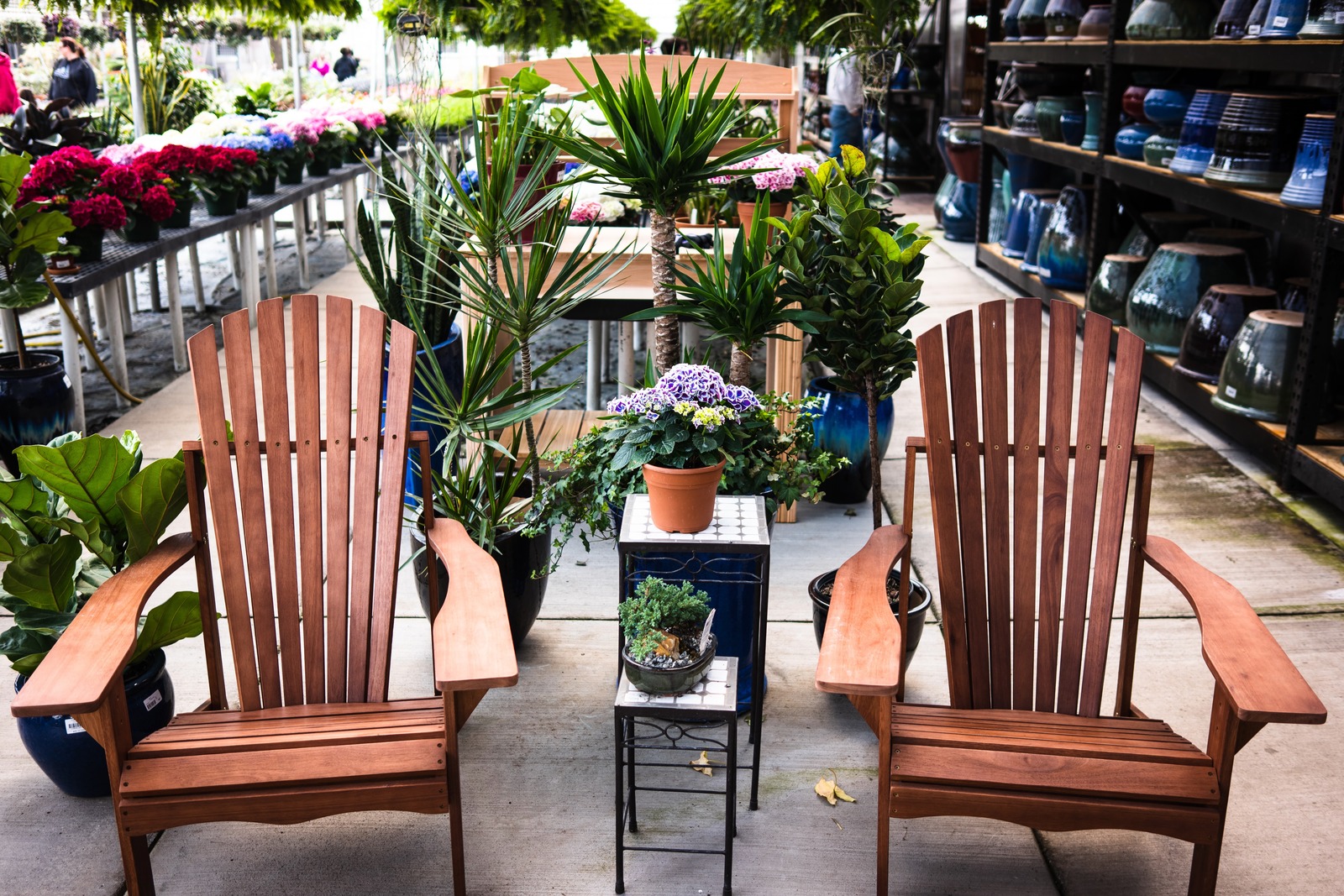 Tranquil Garden Retreat