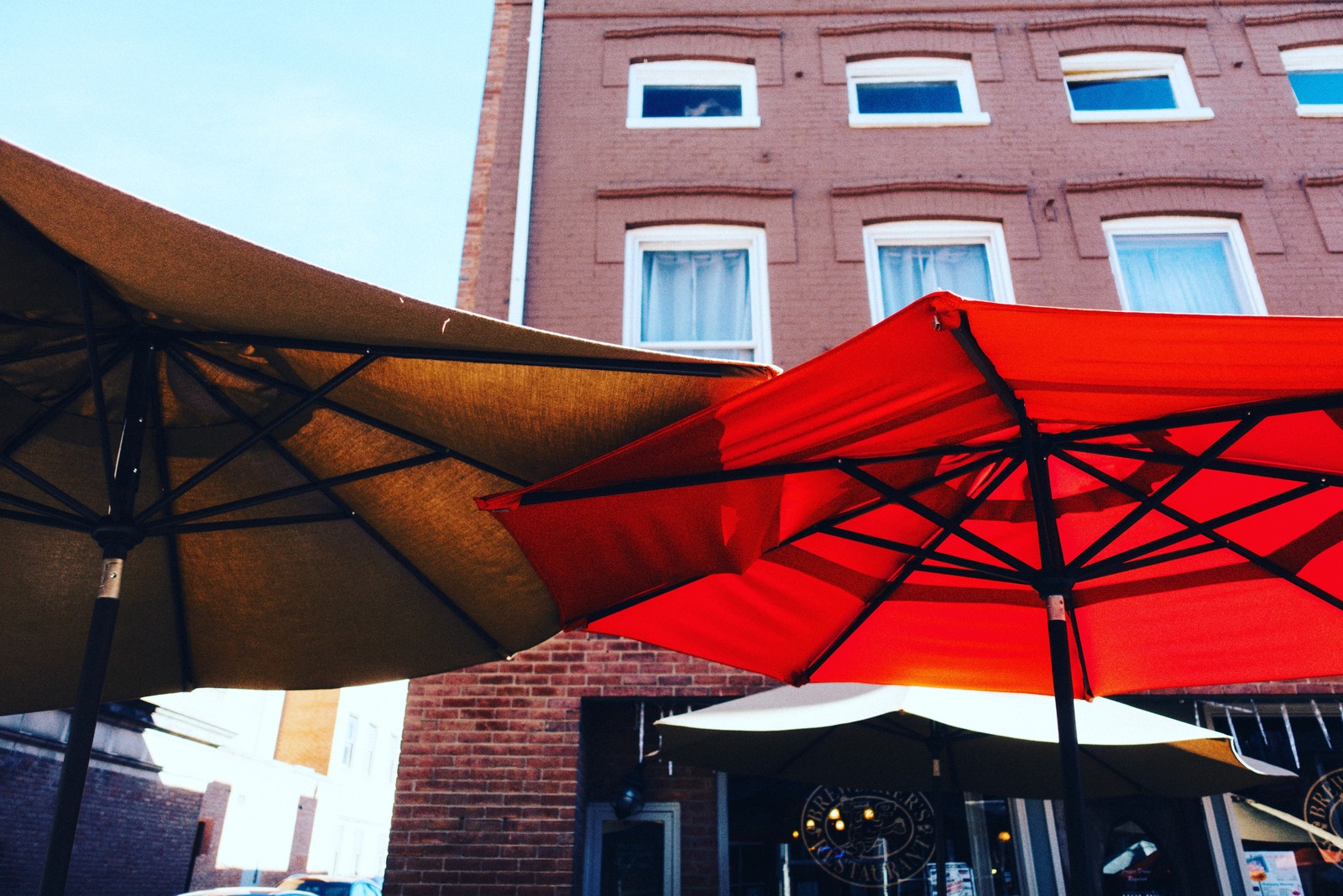 Beneath Colorful Canopies