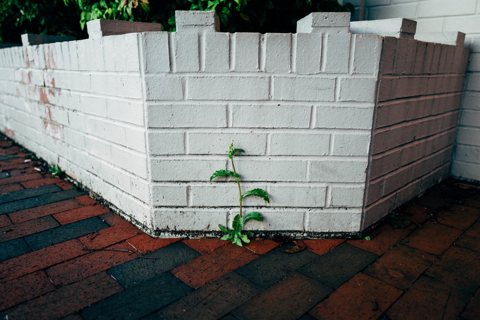 Resilience in Urban Space