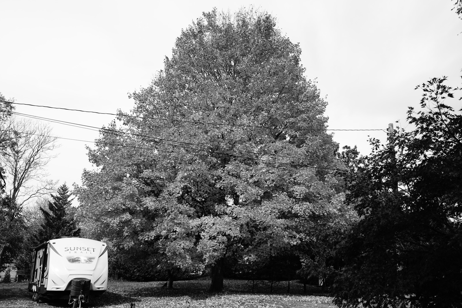 Solitude in Monochrome