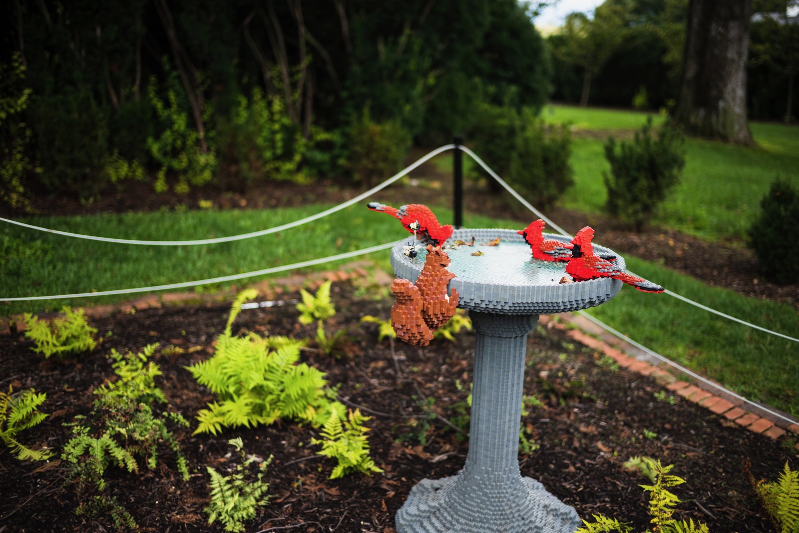 Nature's Playful Sculpture