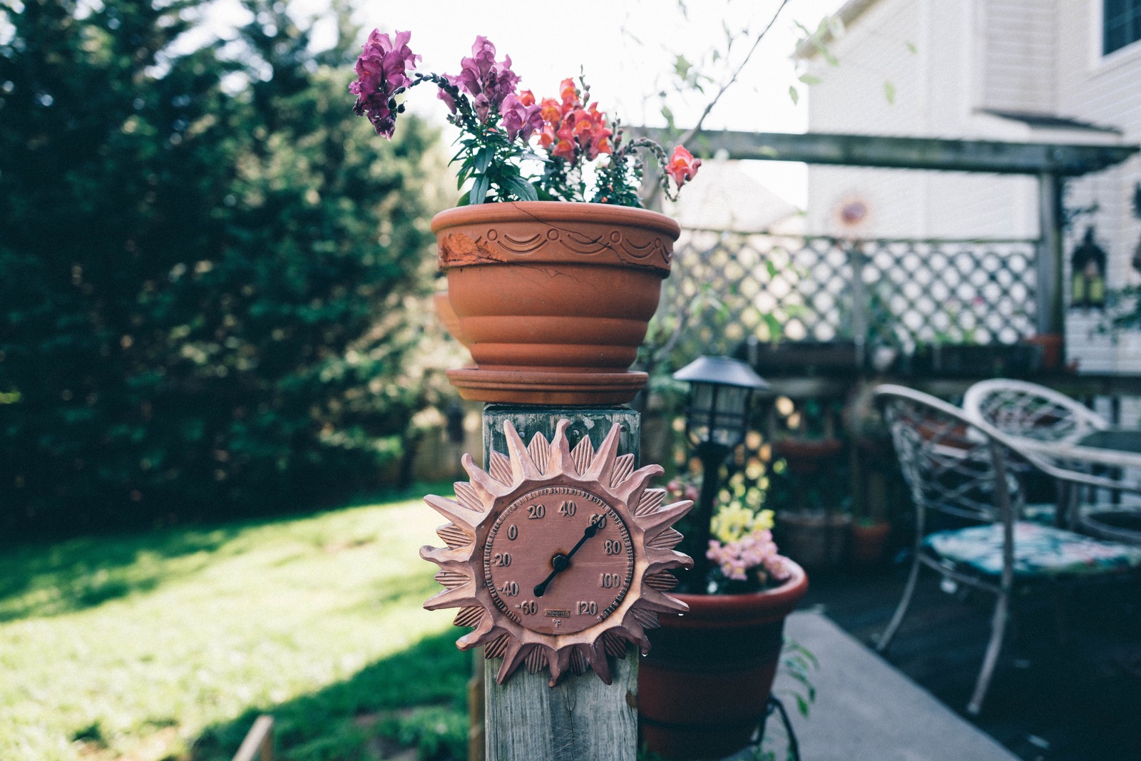 Whimsical Garden Details