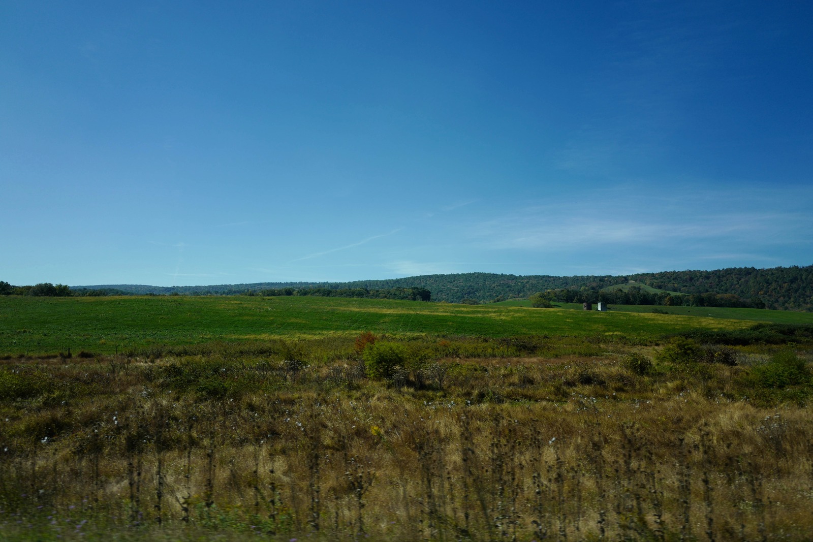 Serene Autumn Landscape