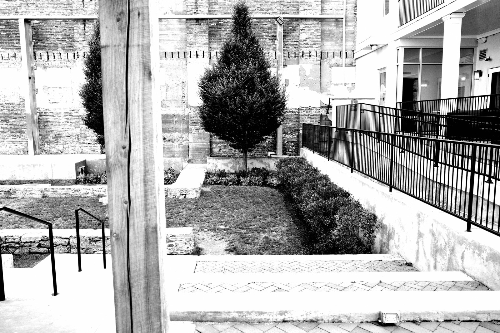 Urban Serenity in Monochrome