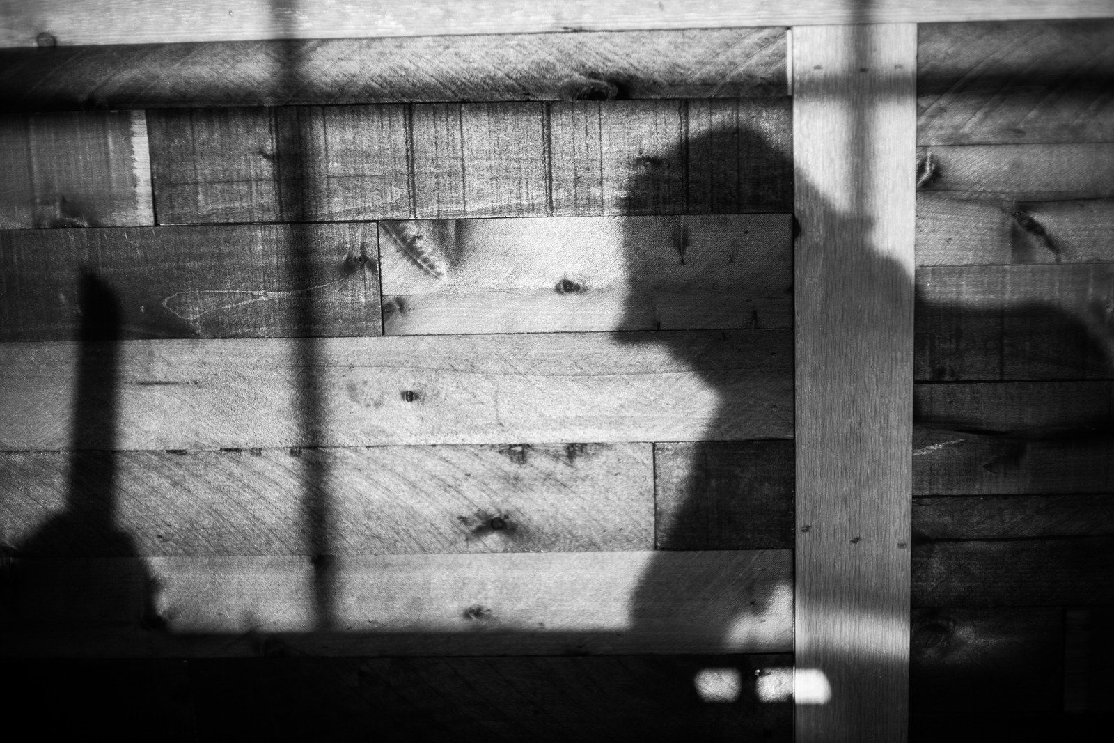 Shadows of Reflection