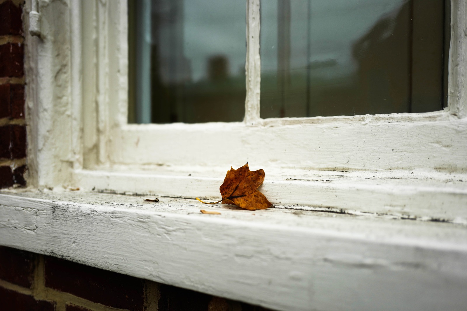 Autumn's Quiet Reflection