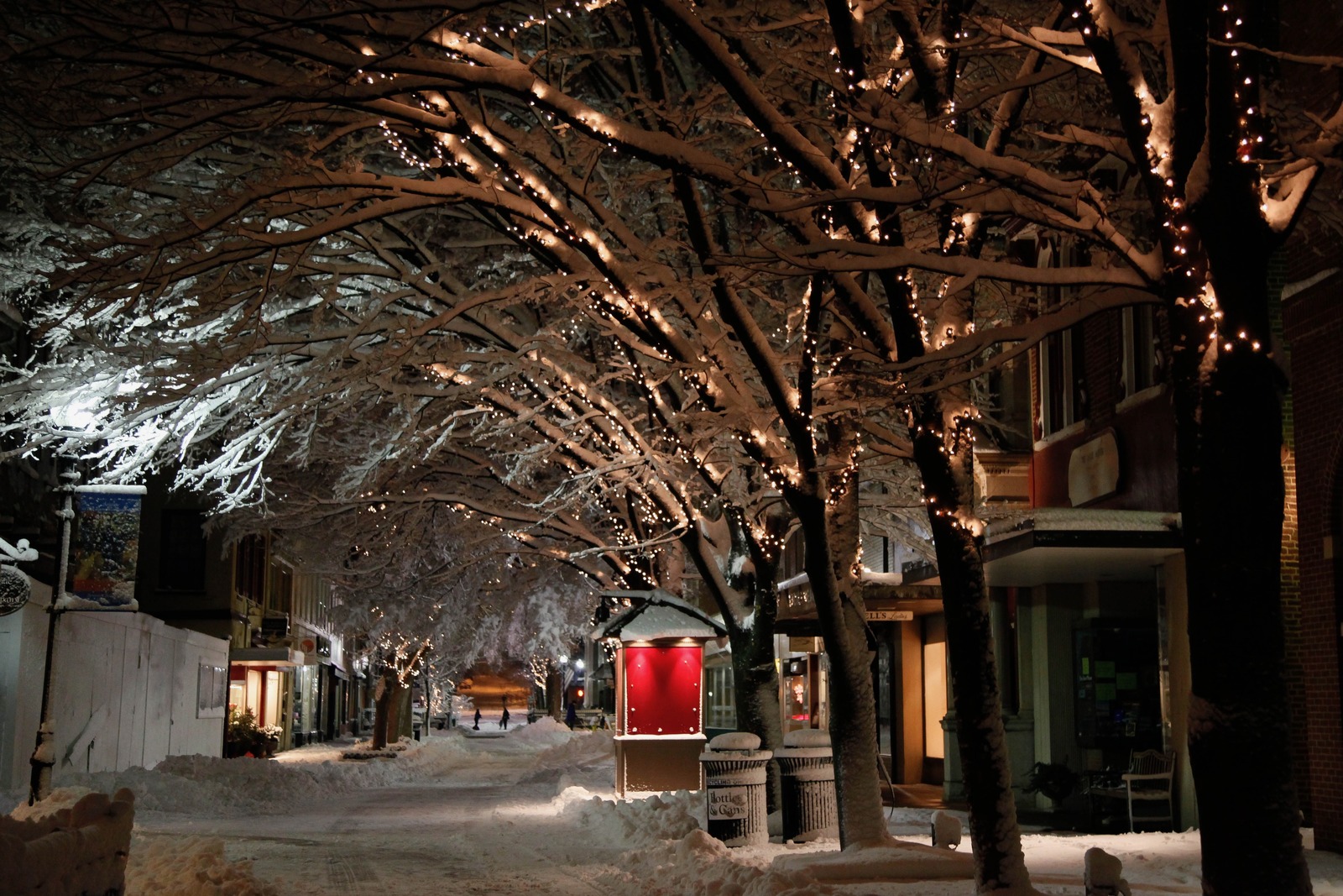 Winter's Enchanted Silence