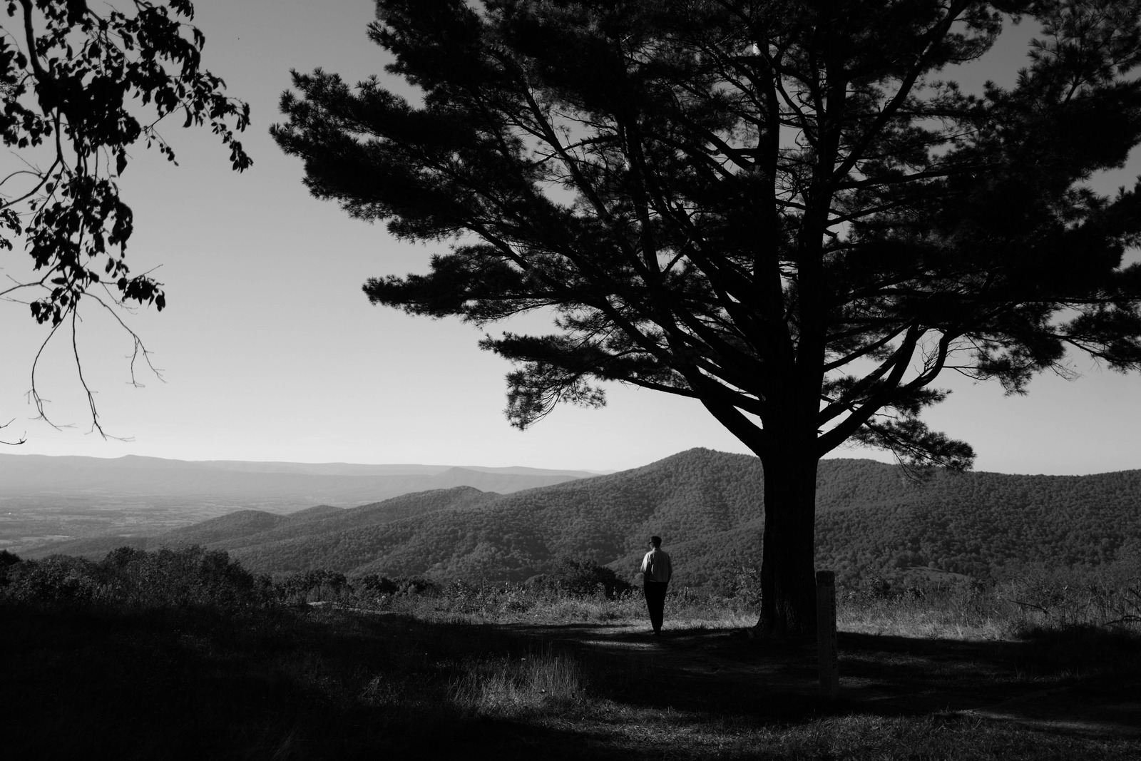 Solitude in Nature's Embrace