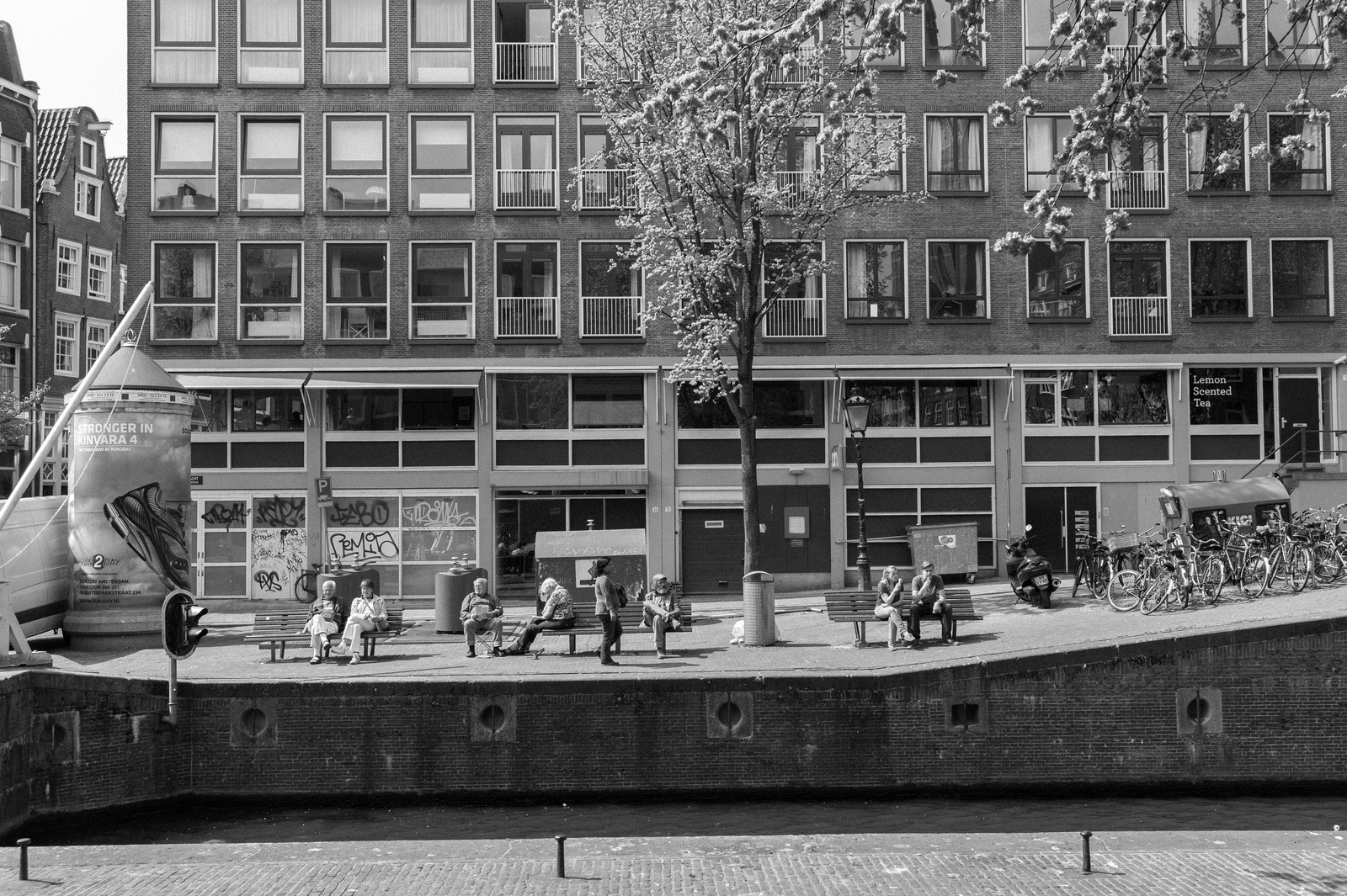 Reflections by the Canal