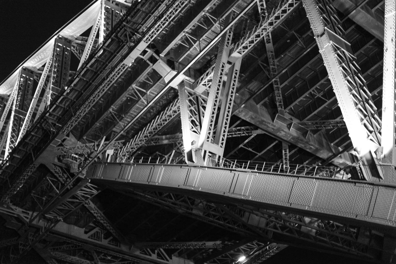 Beneath the Steel Canopy