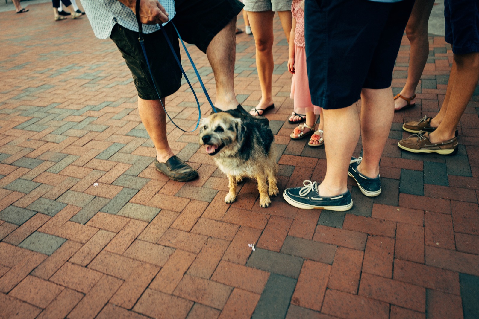 Joyful Moment Among Friends