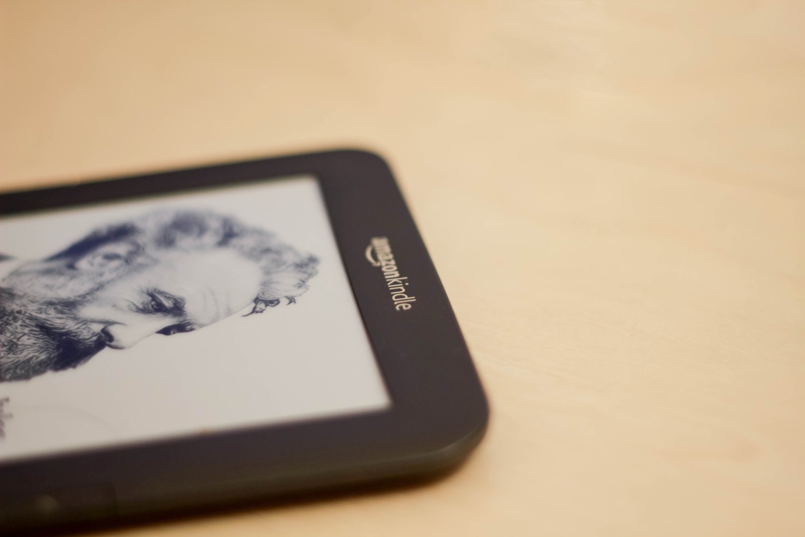 Intimate Reading Moment